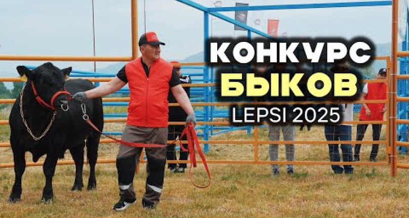 Embedded thumbnail for Конкурс быков на Lepsi 2025