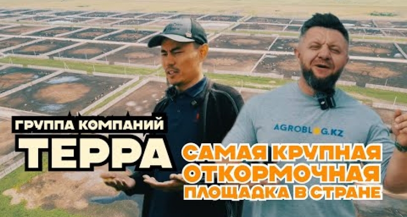 Embedded thumbnail for Самая крупная откормочная площадка в стране