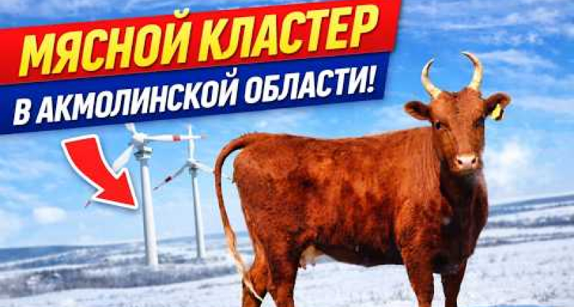 Embedded thumbnail for Самая большую откормплощадку и мясной центр планируют сделать в Акмолинской области