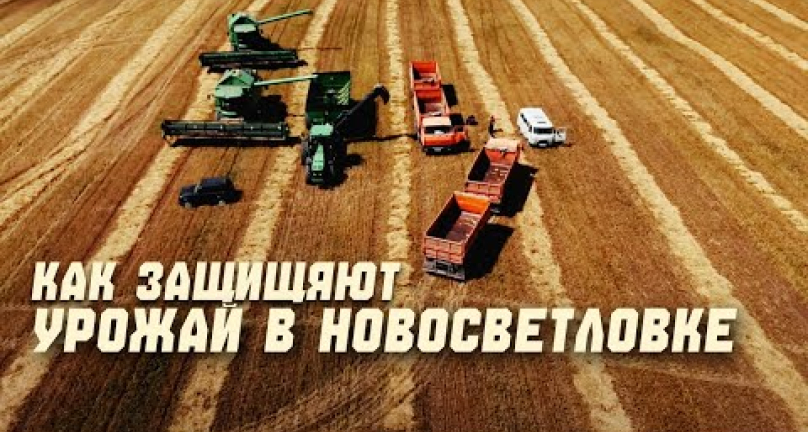 Embedded thumbnail for  Как в Новосветловке защищают урожай от инвестора