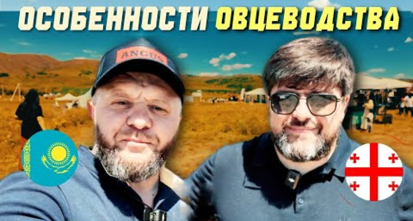 Embedded thumbnail for Особенности овцеводства! Интервью с Бека Гонашвили - руководителем Ассоциации овцеводов Грузии
