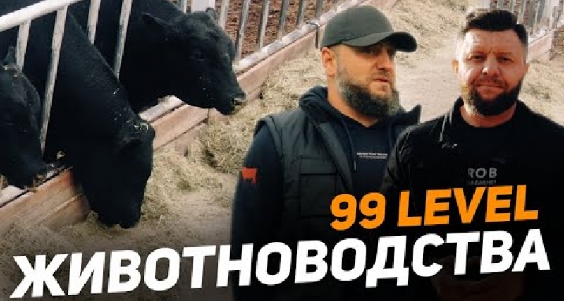 Embedded thumbnail for Как содержат и выращивают черных ангусов в Северном Казахстане! Хозяйства страны - Атамекен-Агро!