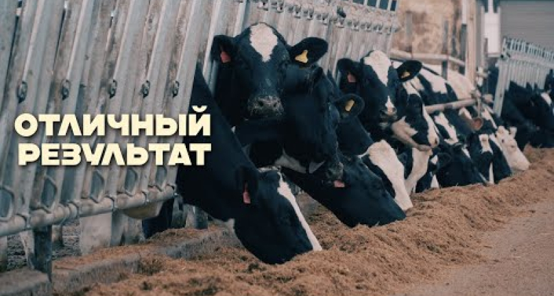 Embedded thumbnail for Видимый отличный результат сотрудничества ТОО &amp;quot;Alta Asia&amp;quot; и МТФ &amp;quot;Ясная Поляна&amp;quot;