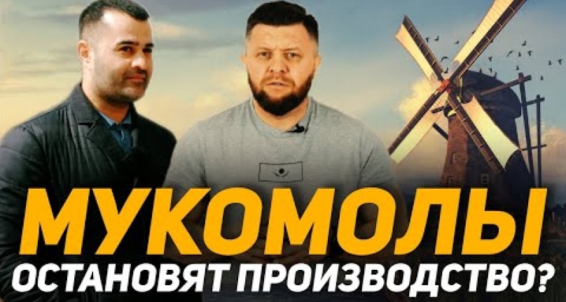 Embedded thumbnail for Мукомолы Казахстана сообщают о дефиците и остановке производства муки!