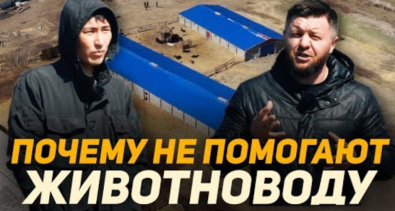 Embedded thumbnail for Как в Акмолинской области нет поддержке животноводу! Пустые обещания акимата Сандыктауского района!